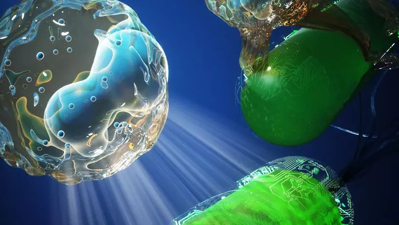 An artist's impression of an invisibility cloak, protecting bacteria (in green) from the immune system