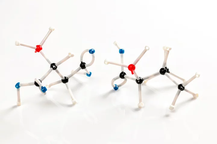 Researchers have shown that amino acids, the building blocks of life, stack themselves readily under the right conditions