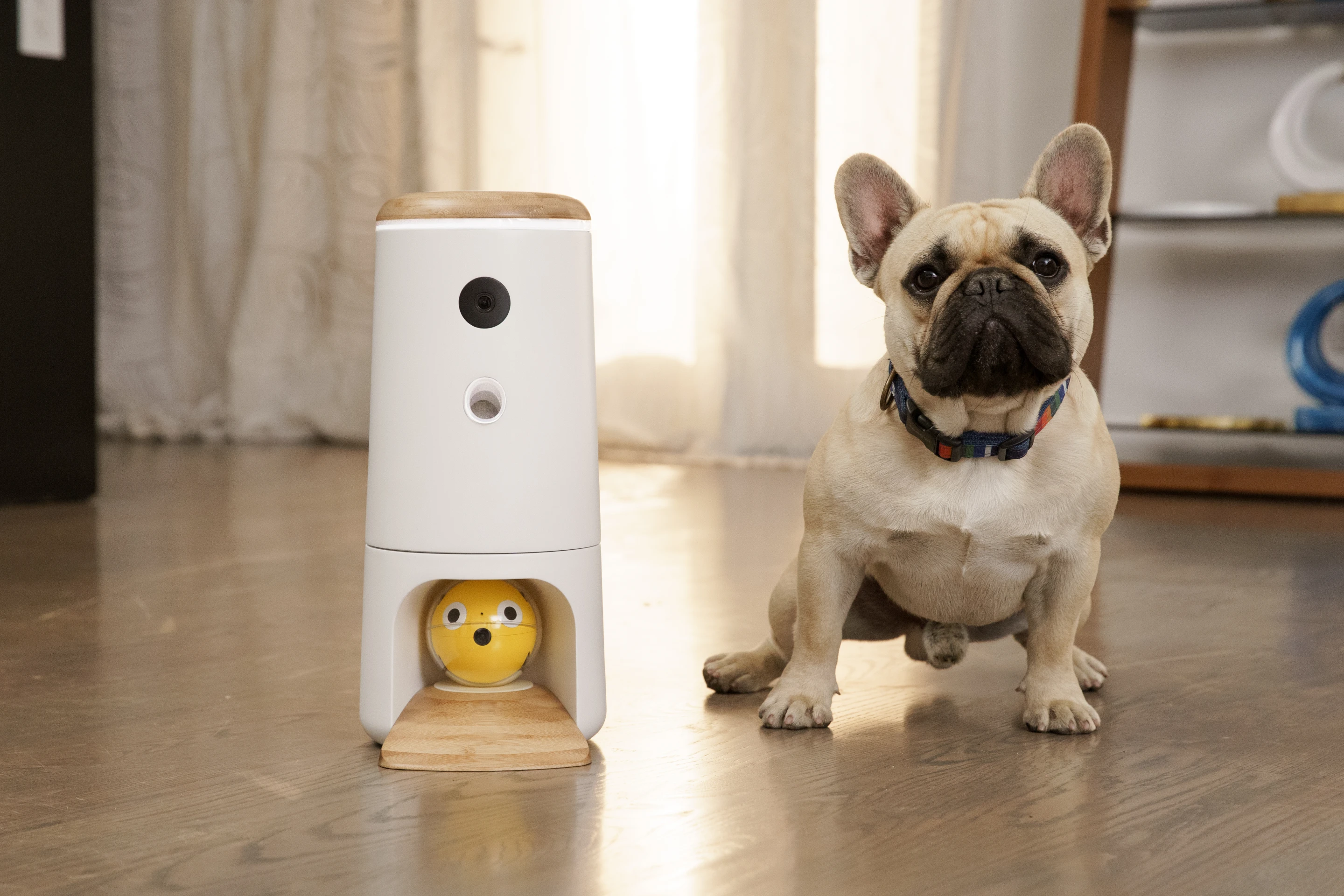 A pledge of $289 is required for the Bird House package (retail $499)