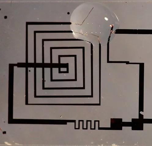 A biodegradable integrated circuit during dissolution in water (Photo: Beckman Institute, University of Illinois and Tufts University)