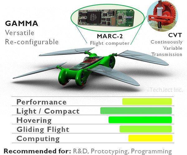 The Gamma model Dragonfly