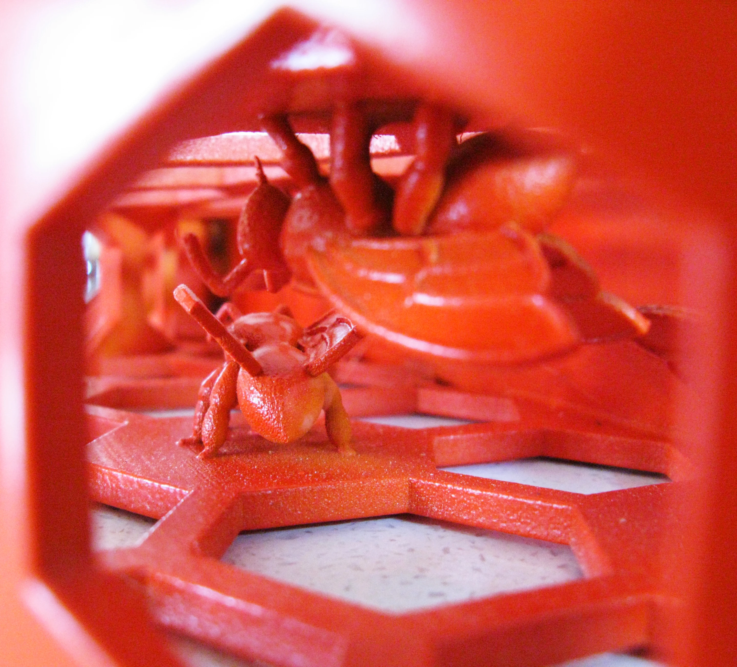 Close up of the resident bees inside the 3D-printed body of the Hive B