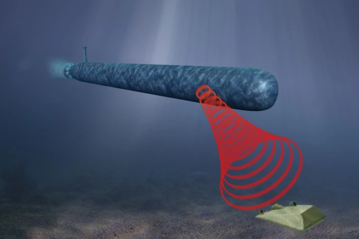 Knifefish can autonomously hunt and identify buried and unburied seamines