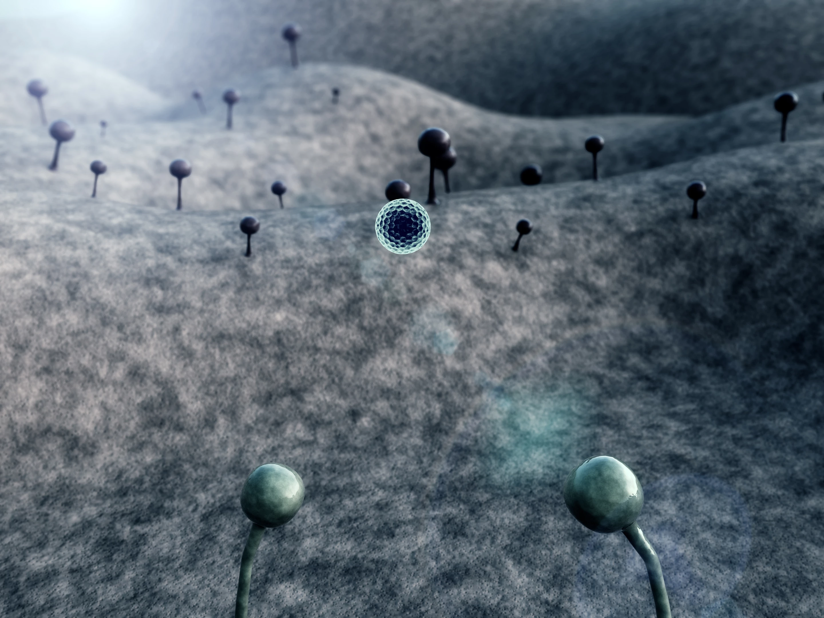 New research has found distinct populations of fungal species living inside tumor cells