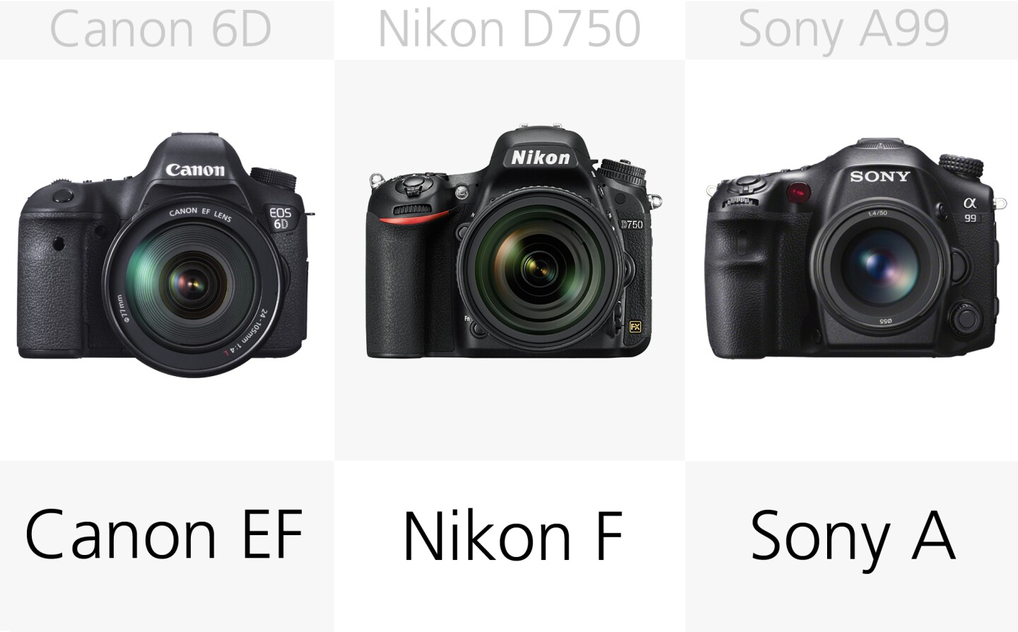 There are plenty of lens options for any of these full frame DSLRs