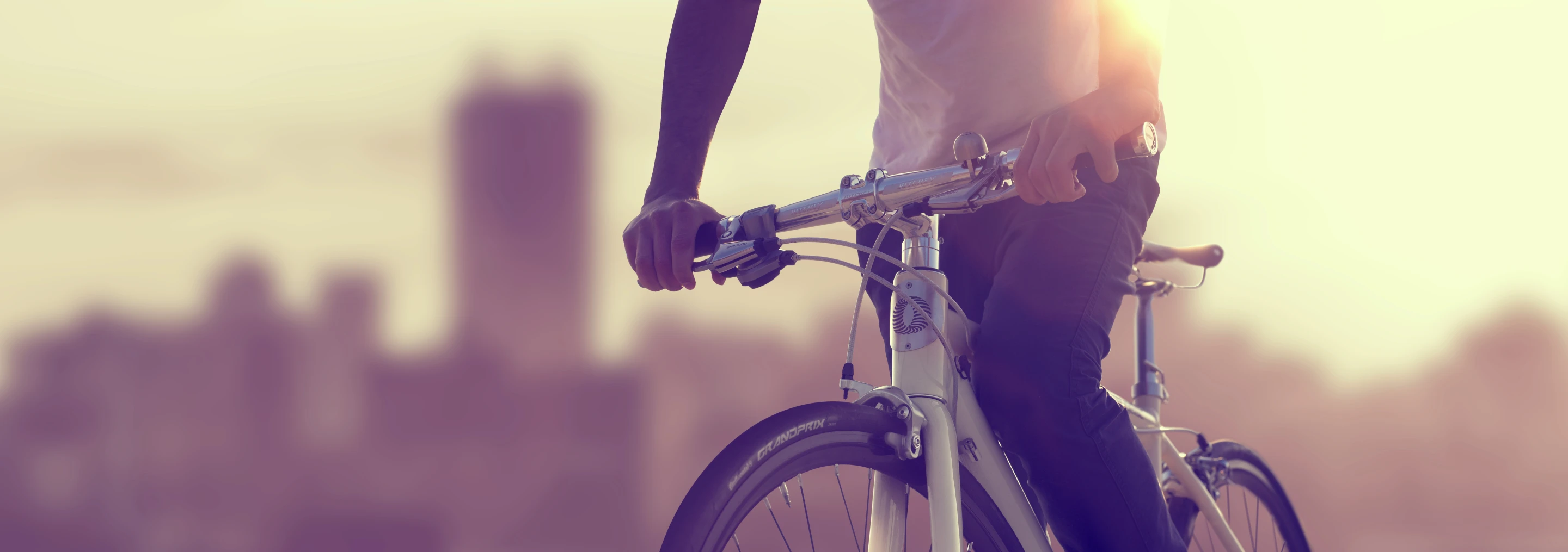 Freygeist e-bike