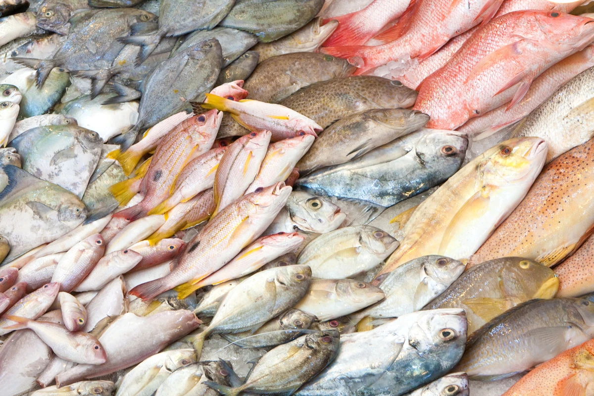 Although endangered fish may not be easy to visually identify in wet markets, their eDNA doesn't lie