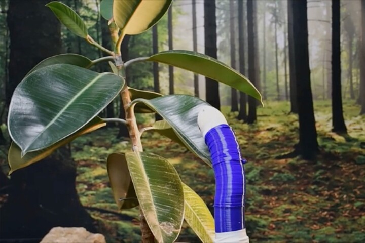 The FiloBot – one day to be exploring another planet not-so-near you?