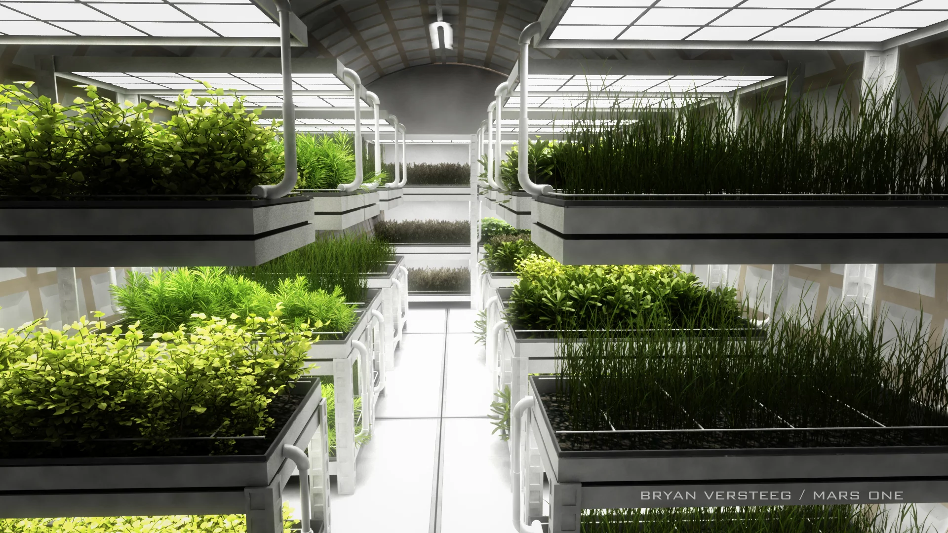 Plant and vegetation survival will be a critical component in the success of the Mars One project (Image: Bryan Versteeg / Spacehabs.com)