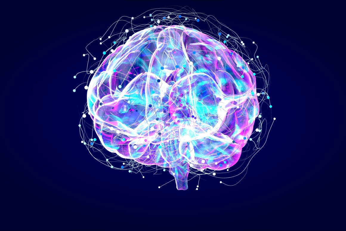 Brain xray, human anatomy, 3D Illustrated neurons