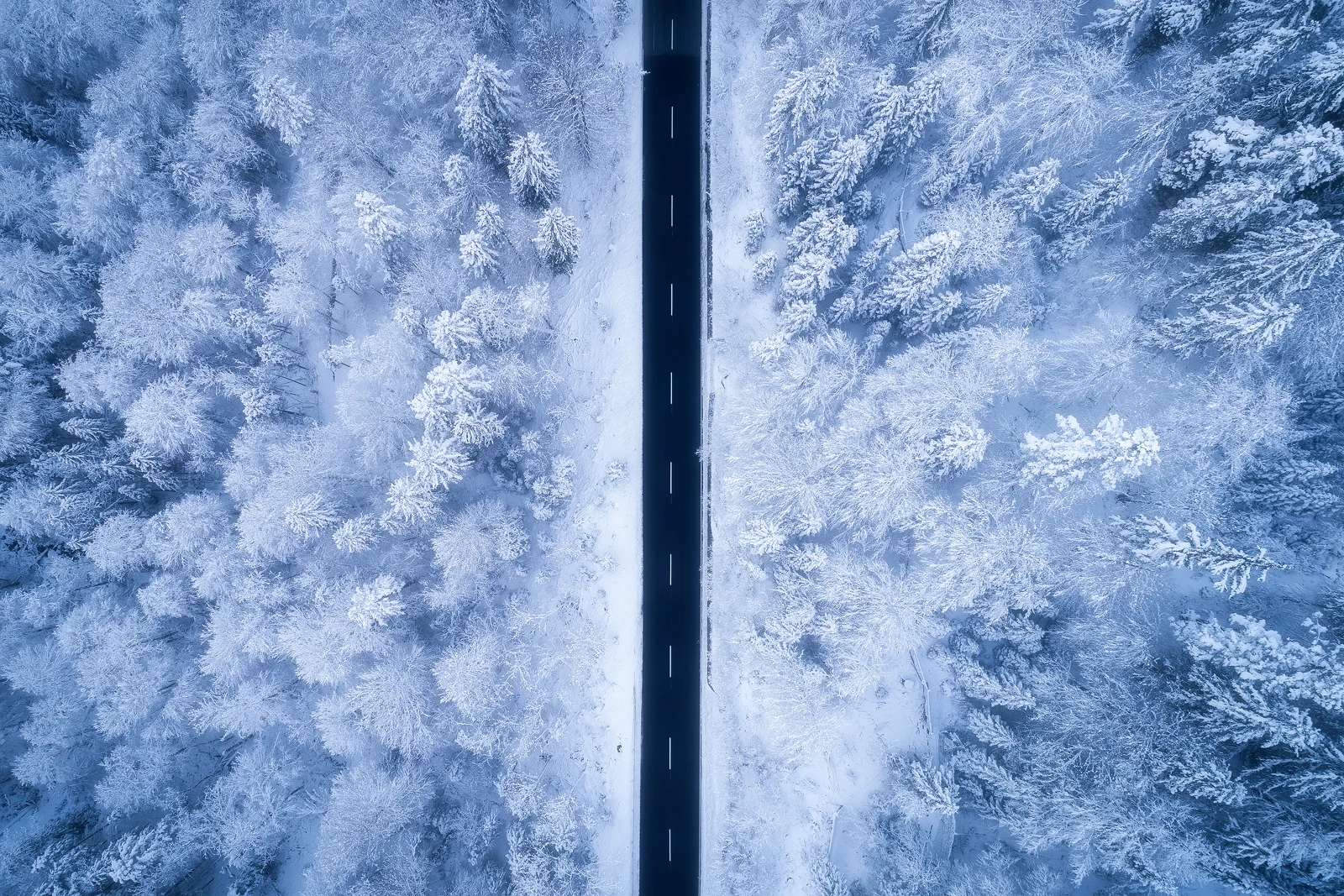 A wonderful winter morning in Bavaria/Germany