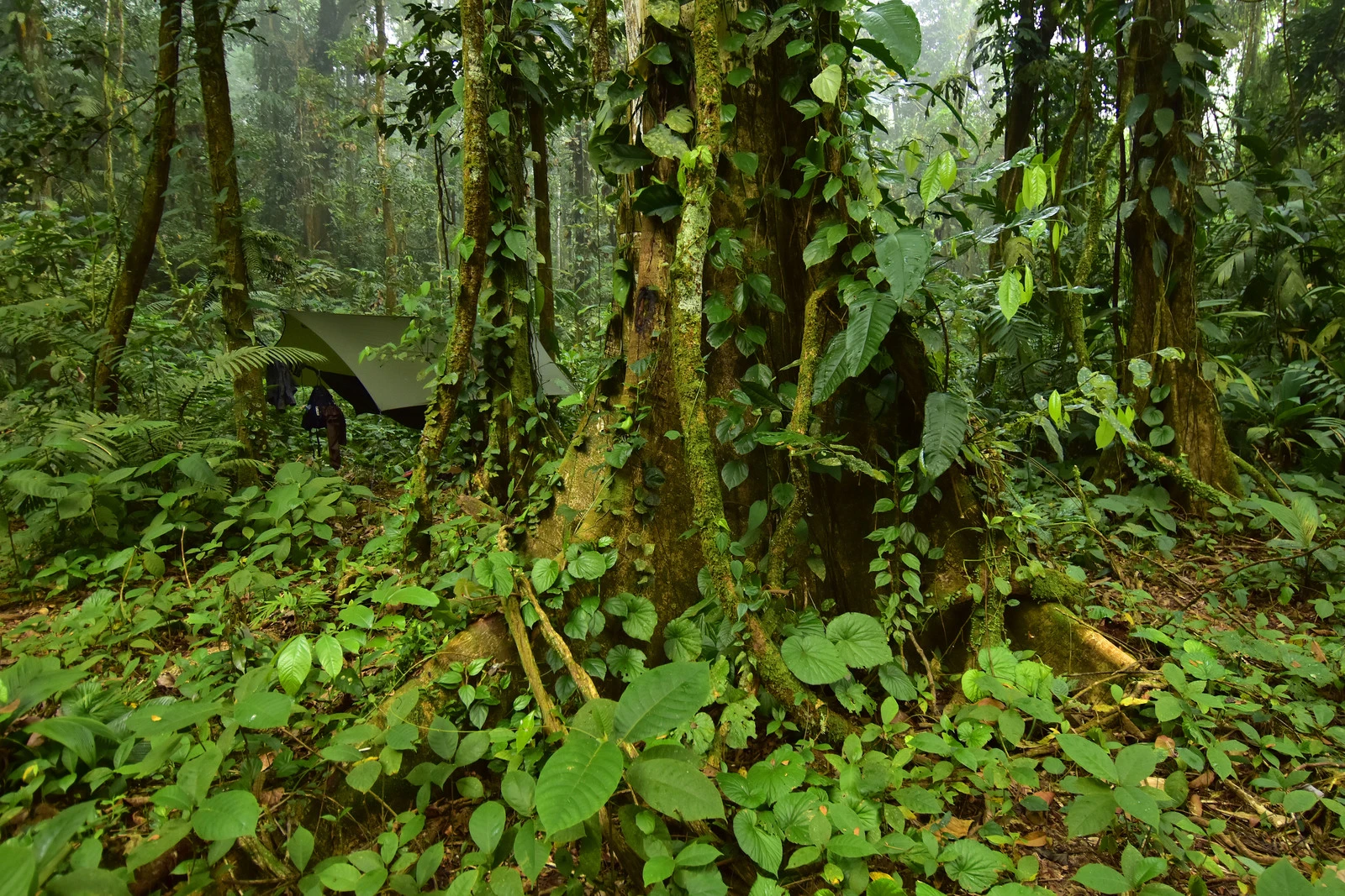 One of the campsites used by the research team