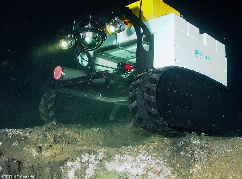 Wally, NEPTUNE Canada's deep-sea crawler, sits atop a gas hydrate outcrop in Barkley Canyon