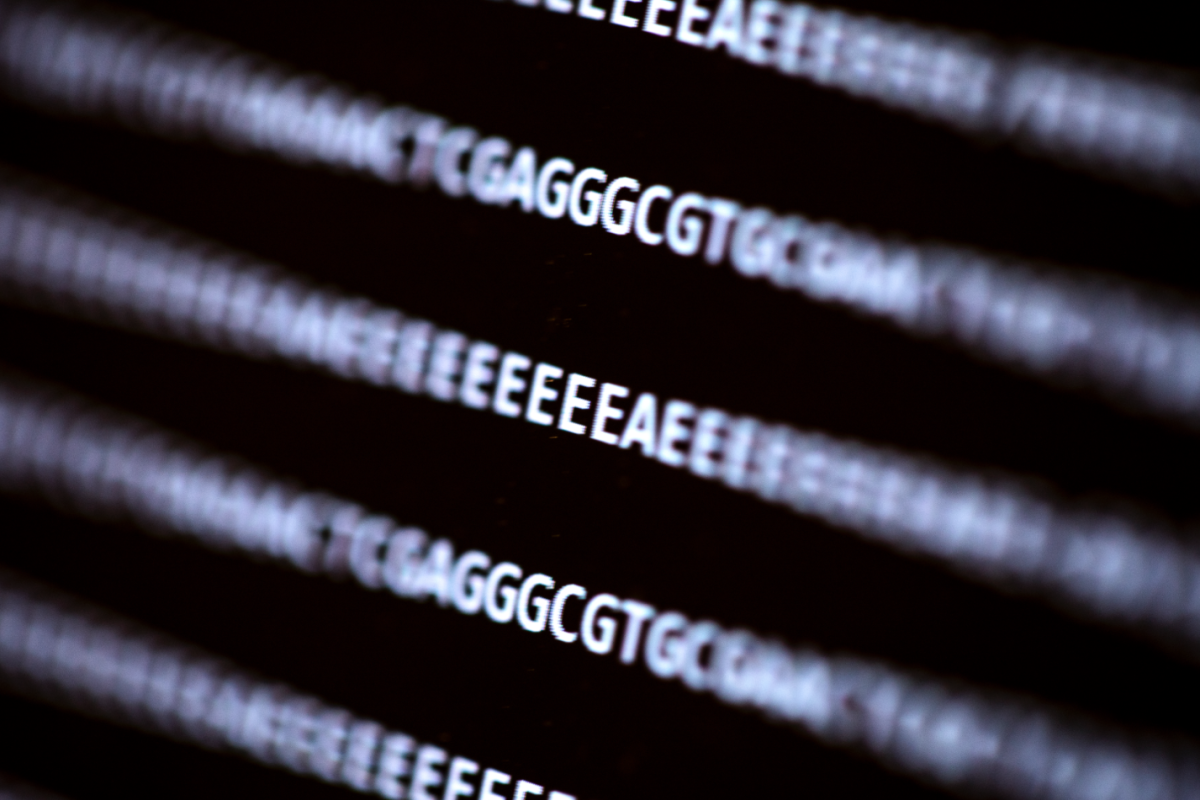 UW researchers have demonstrated for the first time that it is possible to remotely compromise a computer using information stored in DNA