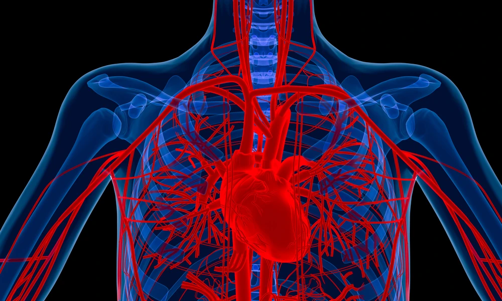 University of Texas at Austin researchers have developed a method that may speed up the body's ability to grow new blood vessels (Image: Shutterstock)