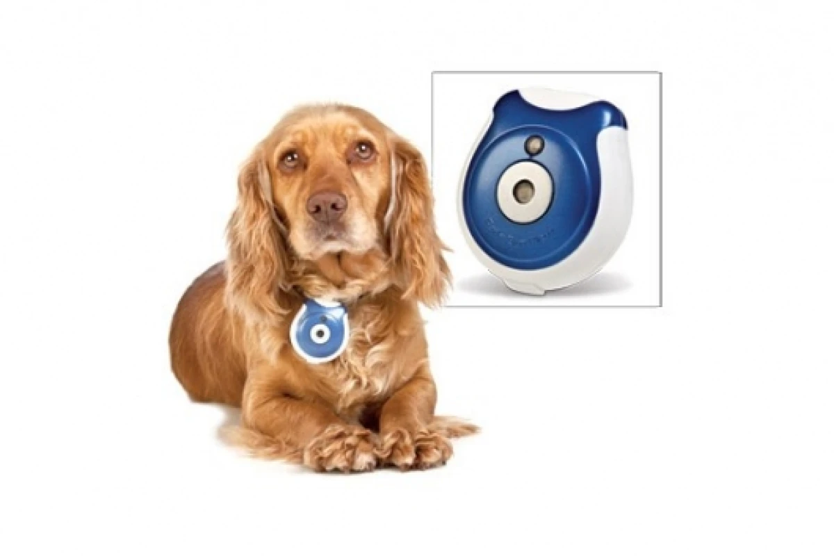 Pet's Eye View Camera keeps a record of all the mischief your pet gets up to when you're not home