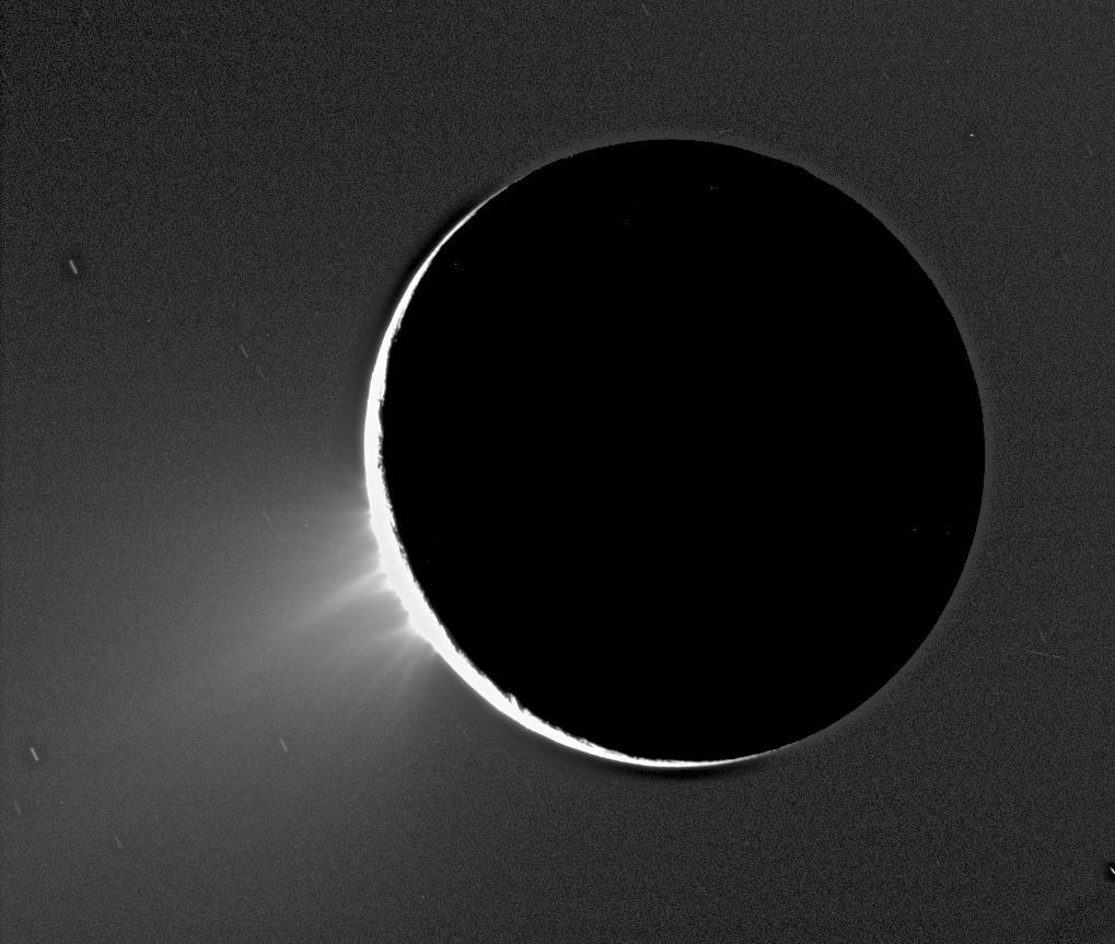 Plumes of Enceladus (Image: NASA/JPL/Space Science Institute)