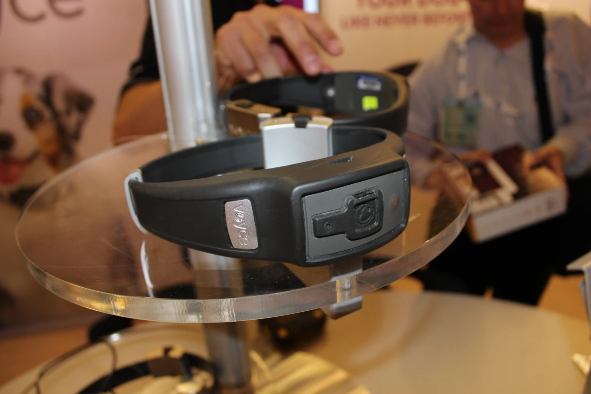 The Voyce wearable health band for dogs from i4C Innovations (Photo: Ben Coxworth/Gizmag)