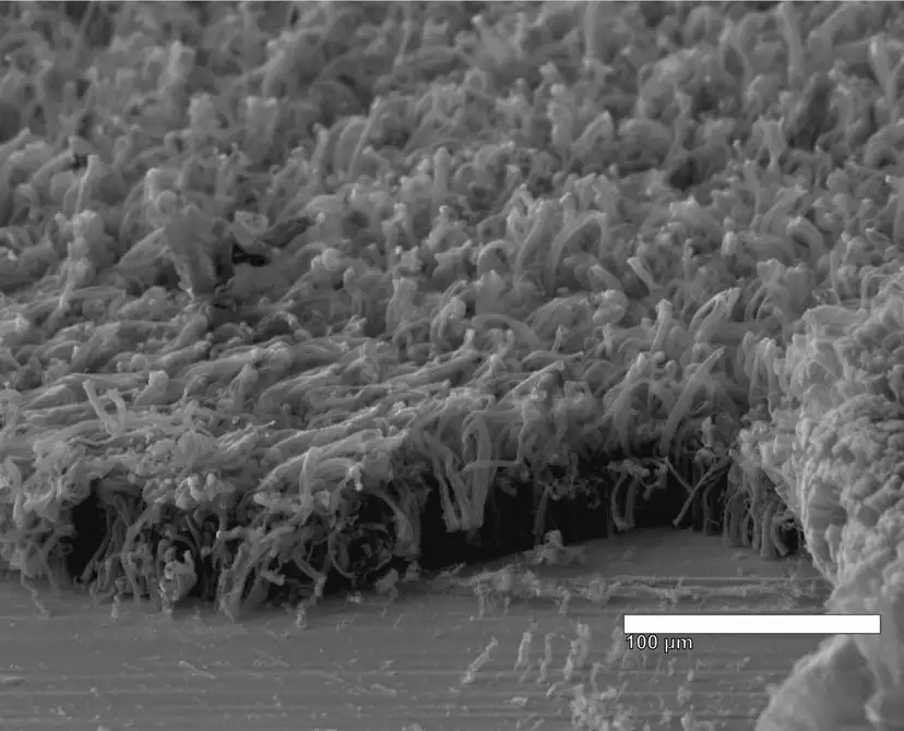Researchers at Rice University developed a battery prototype that uses a forest of carbon nanotubes to boost performance