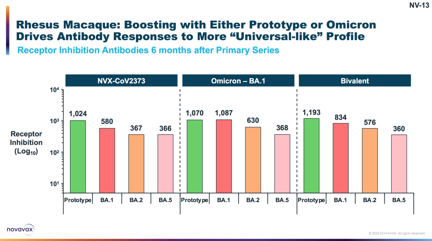 Animal studies testing a newer formulation more specifically targeting Omicron BA.1 revealed little difference in antibody responses compared to the original formulation