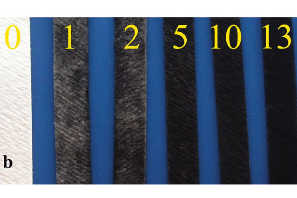 Paper strips used in toxin detection with progressively increasing number of coatings with carbon nanotubes. Photo: Nicholas Kotov.