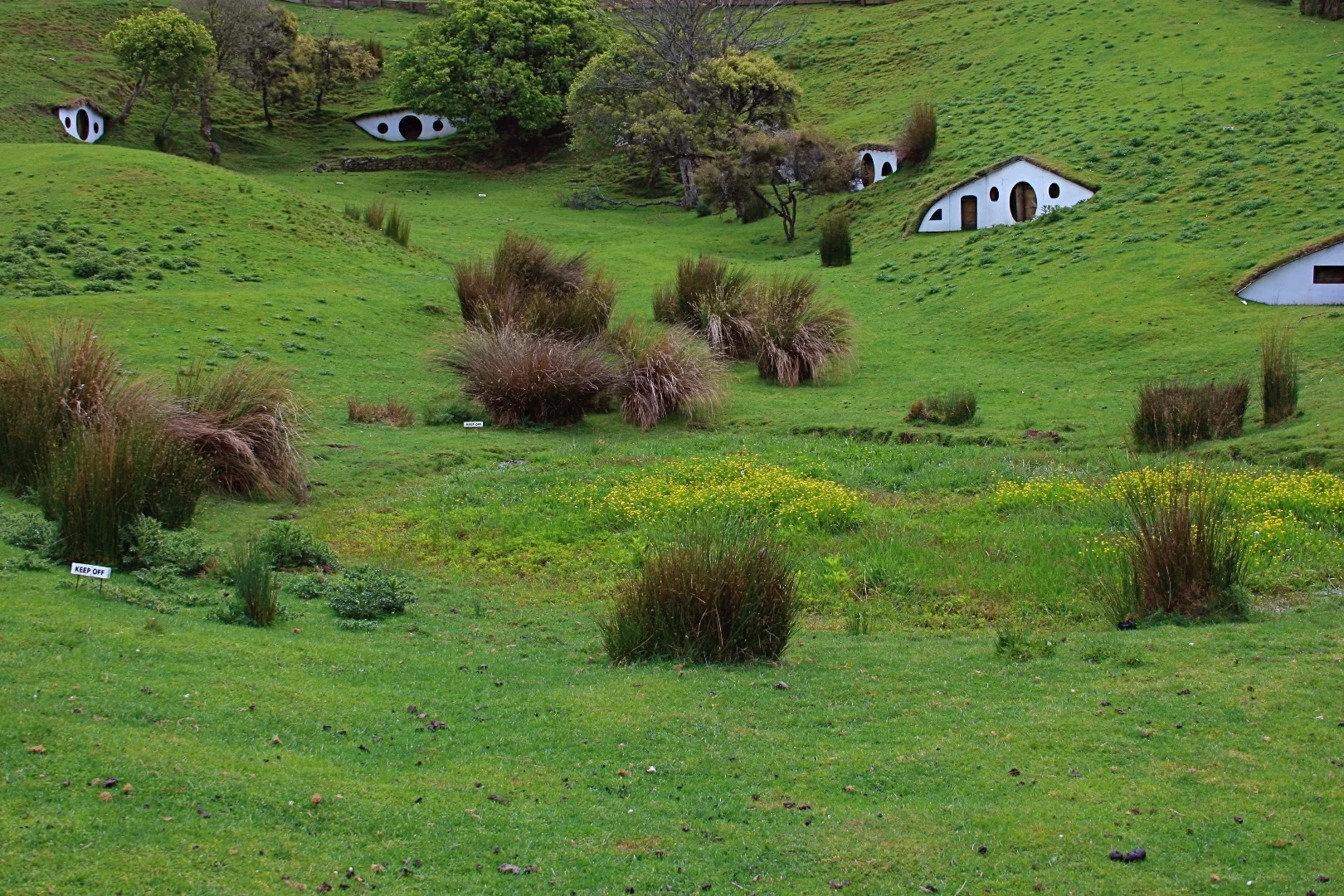 Hobbiton in New Zealand is the location of the Hobbit houses built for the Lord of the Rings movies. They aren’t exactly functional houses, with most just acting as facades but they certainly inspired a new generation of underground designers. Today they have been repurposed into sheep abodes (Credit: tara hunt / Flickr CC BY-SA 2.0)