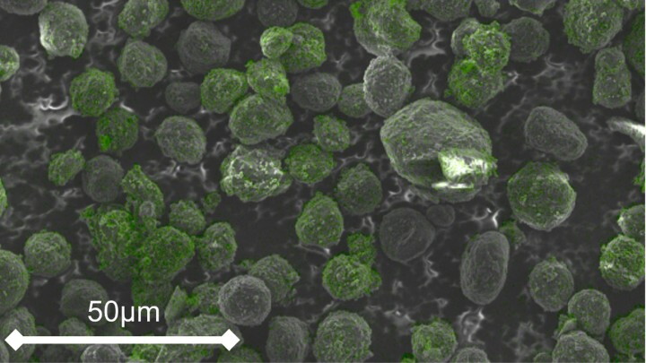 A scanning electron microscope image of the graphite microbeads – green indicates the silica coating