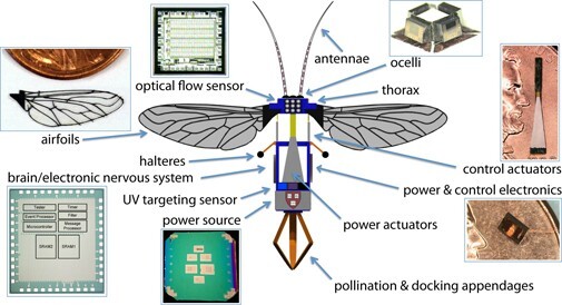 Harvard's micro aerial vehicle could be used to artificially pollinate crops, assist search and rescue operations, and perform clandestine military surveillance