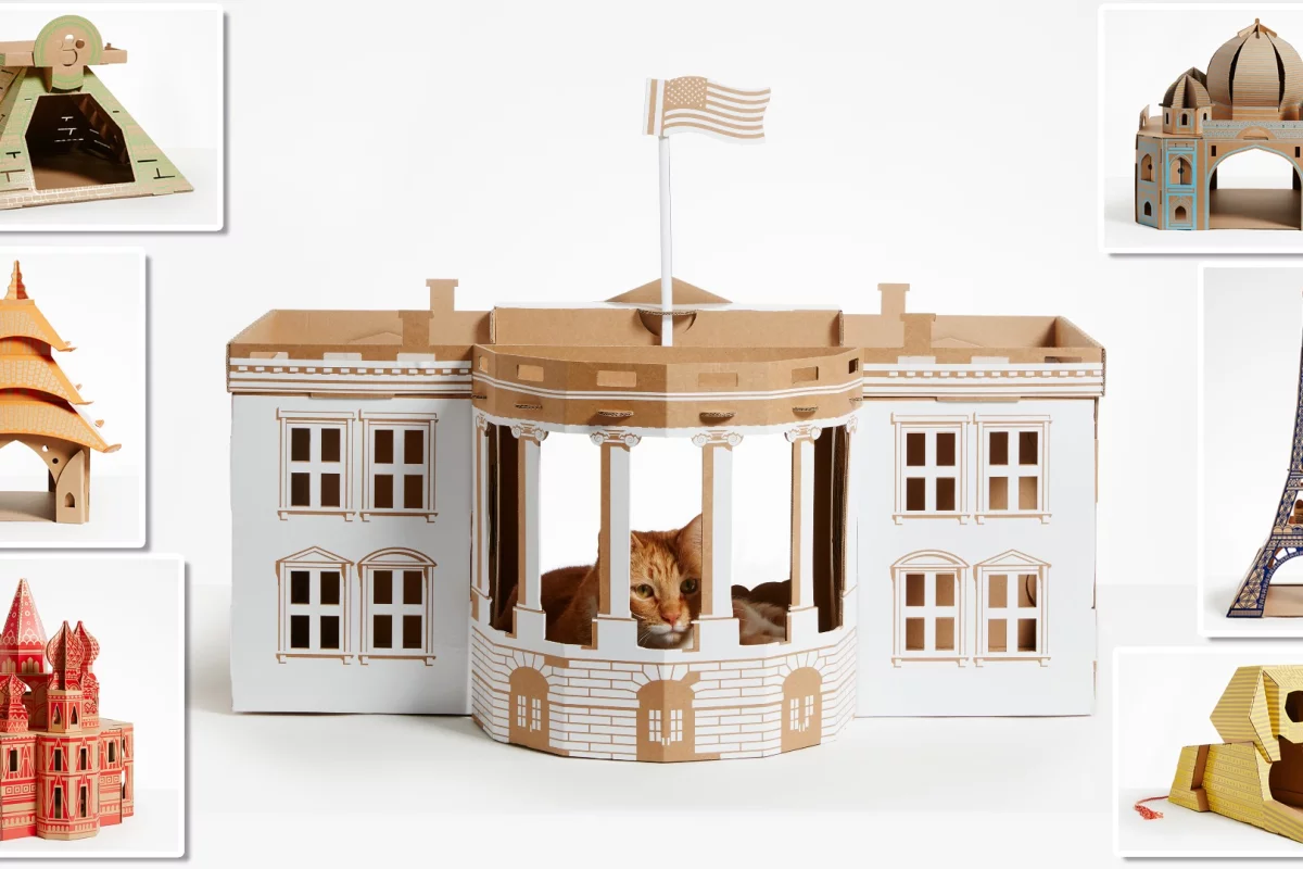 Poopy Cat's latest project puts a cat in the White House