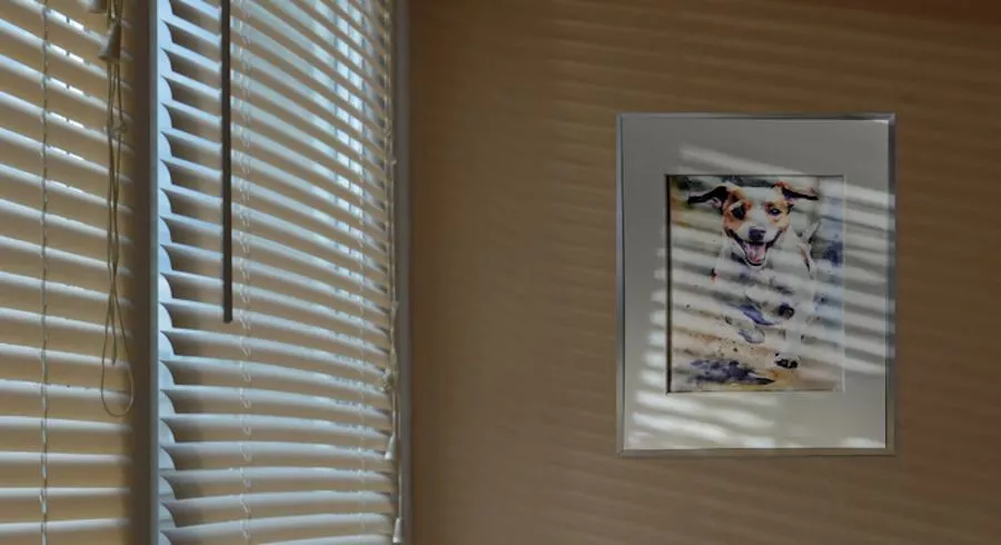 The Reflection Frame lacks built-in lighting, for more natural paper-like viewing that's easy on the eyes