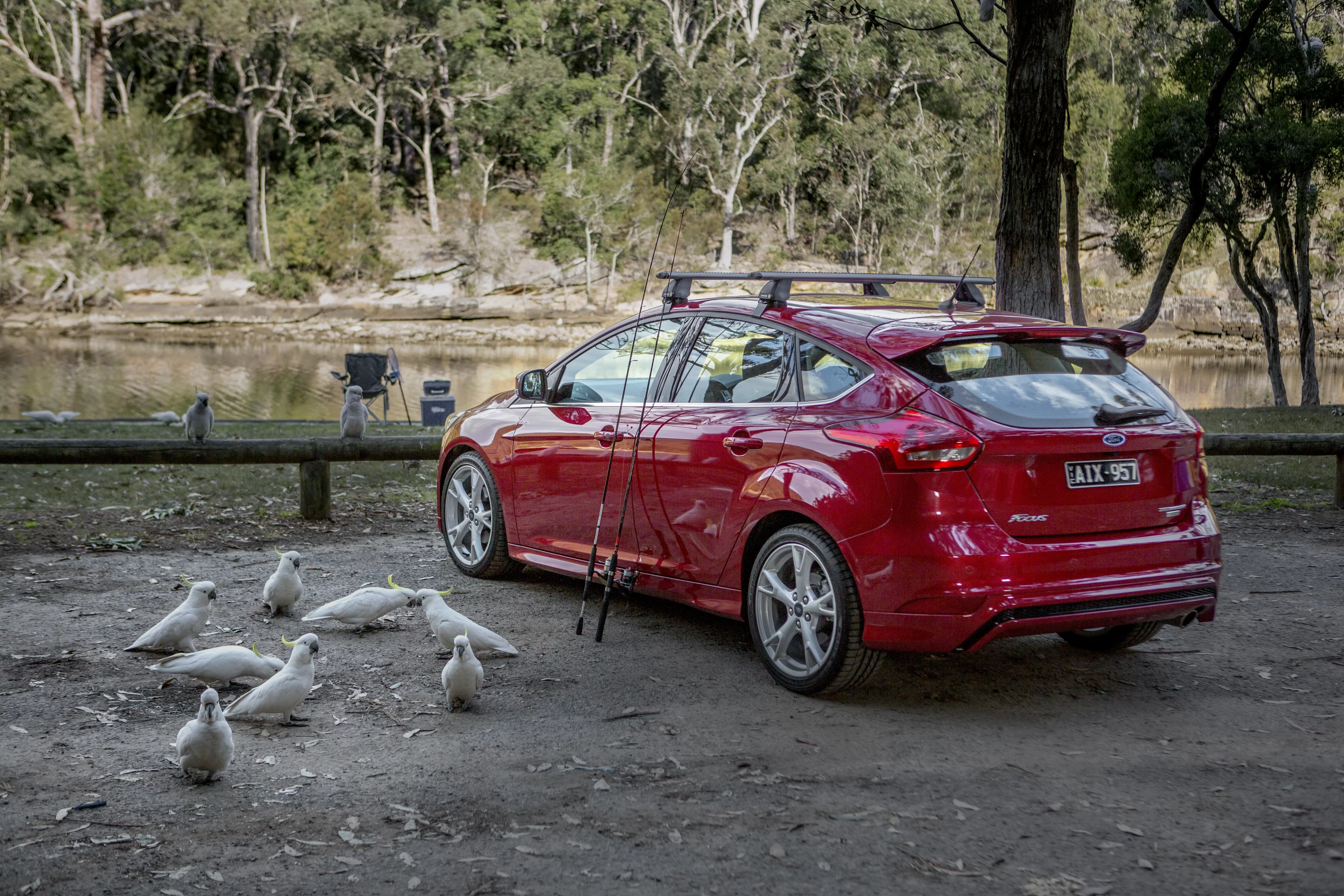 2016 Ford Focus: After a brief stop to pose for photos with picnic tables, fishing paraphernalia, some cockatoos and a game of quoits, we head into the twisty roads leading south toward the coast
