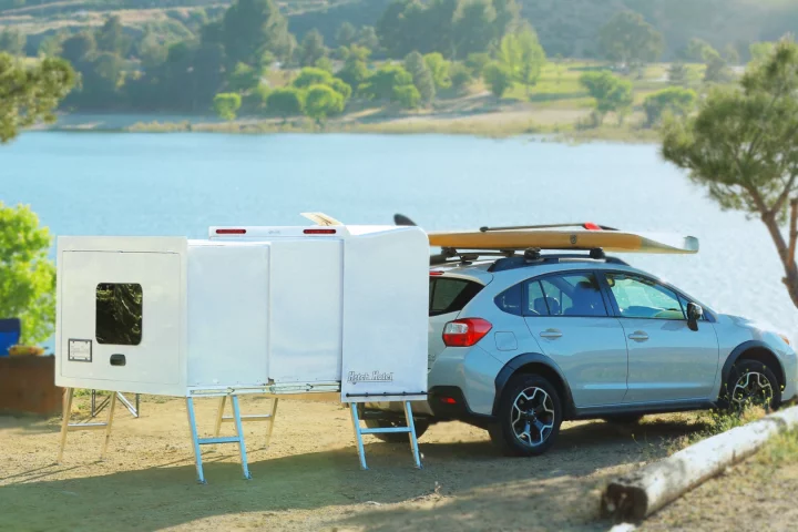 The legs provide support for the extended body