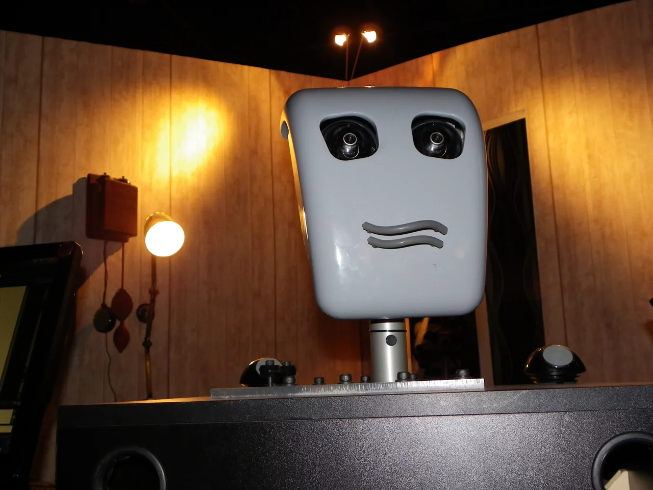 ROMEK contemplates cheering up (Photo: Gizmag)