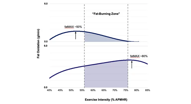Graphs of two people's fat-burning curves highlight differences in fat-burning rates at varying exercise intensities and demonstrate that fatMAX falls outside the predicted “fat-burning zone” – these variations underscore the need for personalized exercise plans