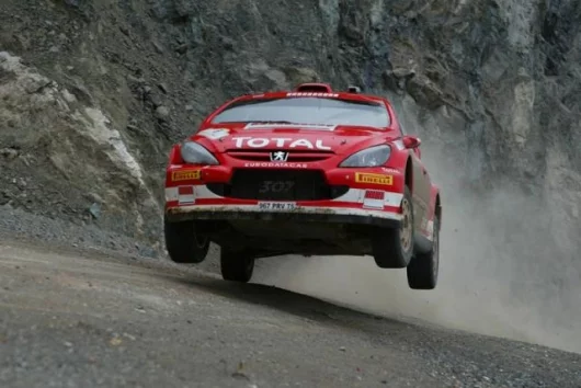 Peugeot's Markko Martin took fifth in Turkey and retains his third place in the title just four points adrift of Solberg's Subaru