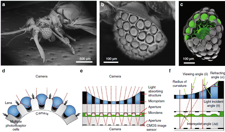 The prototype camera consists of an array of microprisms, every one of them sitting above a corresponding microlens and a single CMOS image sensor