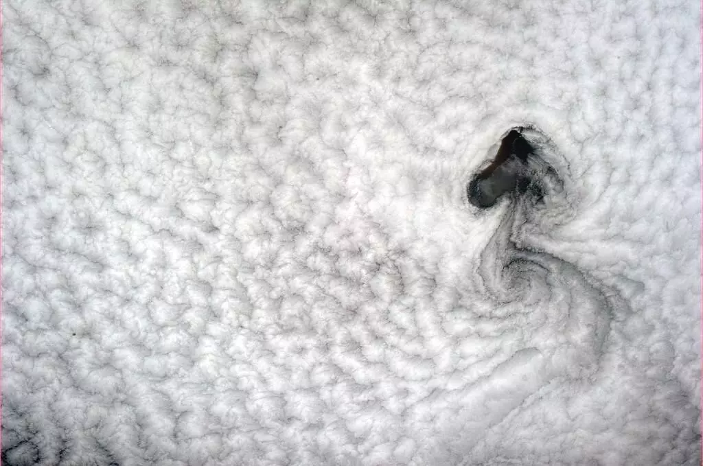 Hadfield: "While the Newfoundland ice formed a heraldic dragon, these Pacific clouds look more like Woodstock, of Peanuts fame" (Photo: Chris Hadfield/NASA)