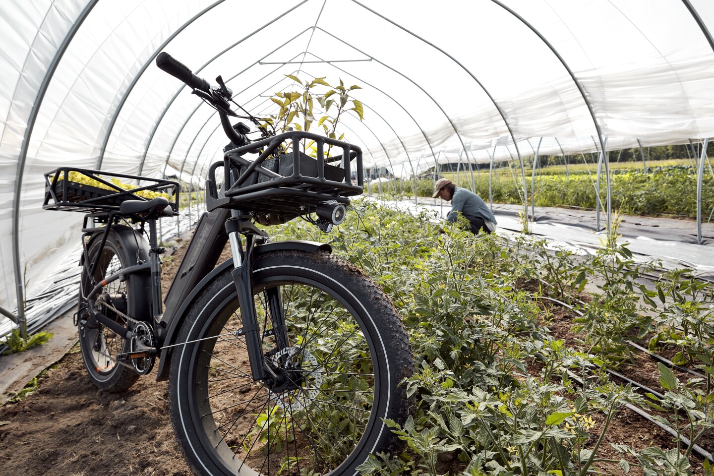 radrover discount code