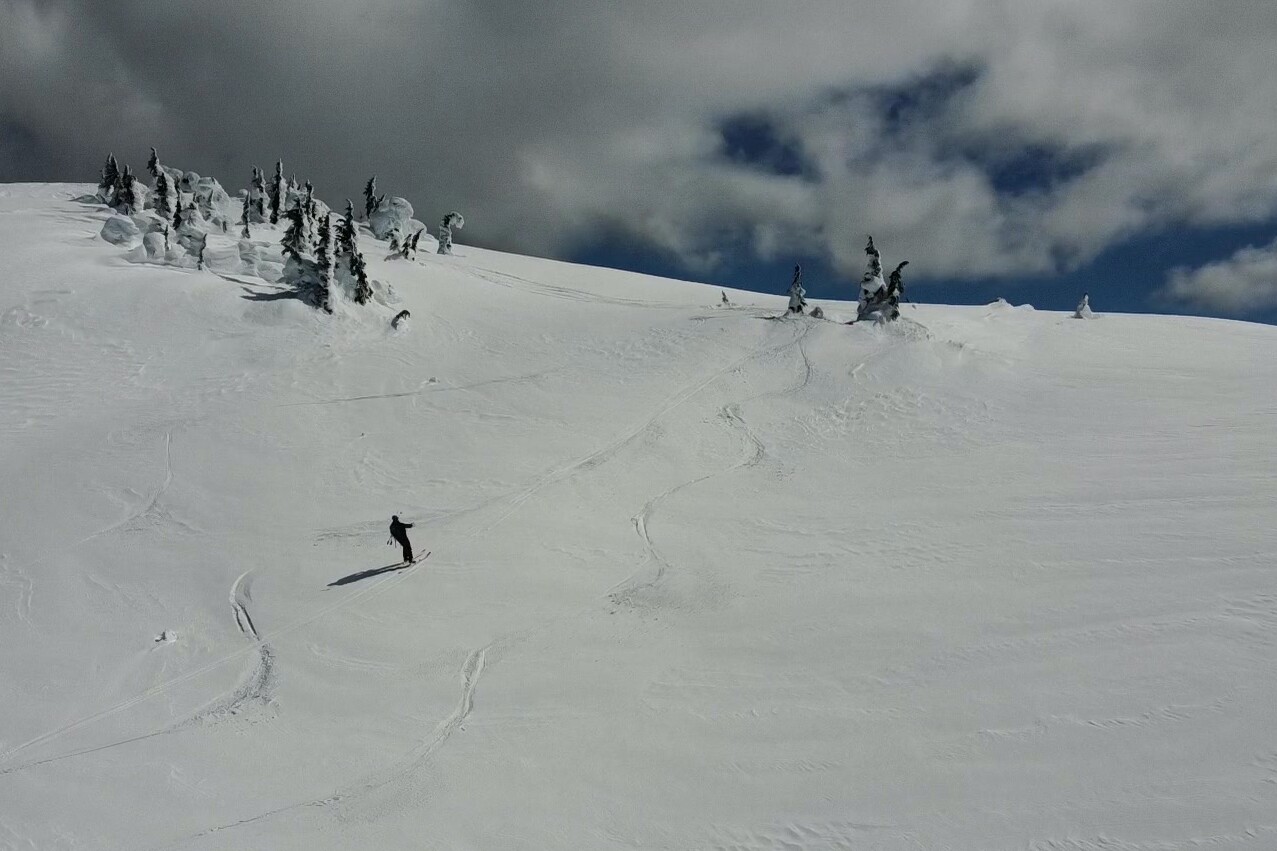 The Zoa PL1 getting put to the test