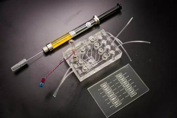 The lab in a needle features two key lab in a chip components that allow for rapid liver toxicity tests