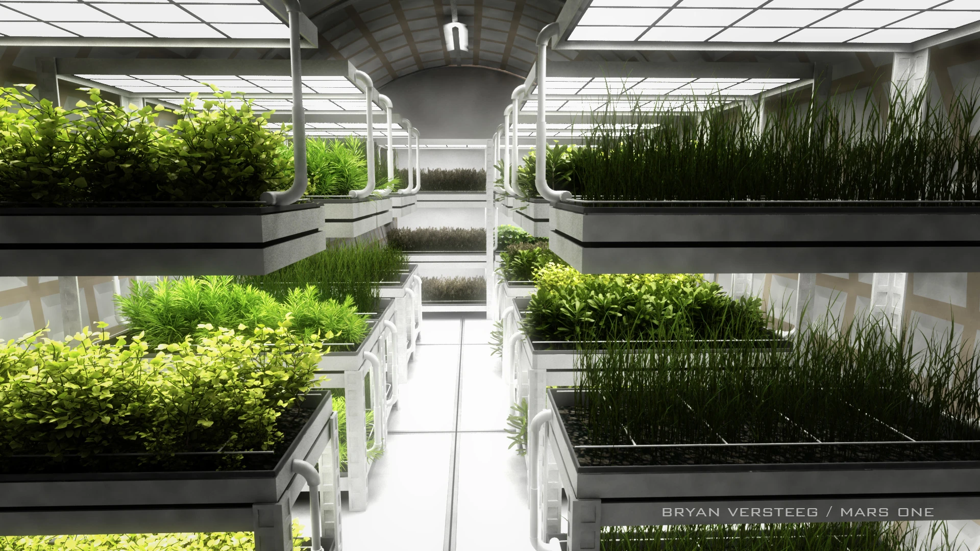 Plant and vegetation survival will be a critical component in the success of the Mars One project (Image: Bryan Versteeg / Spacehabs.com)