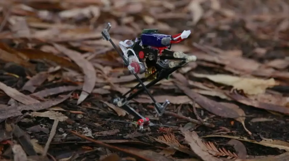 This robot was inspired by a tiny African primate famed for its jumping skills