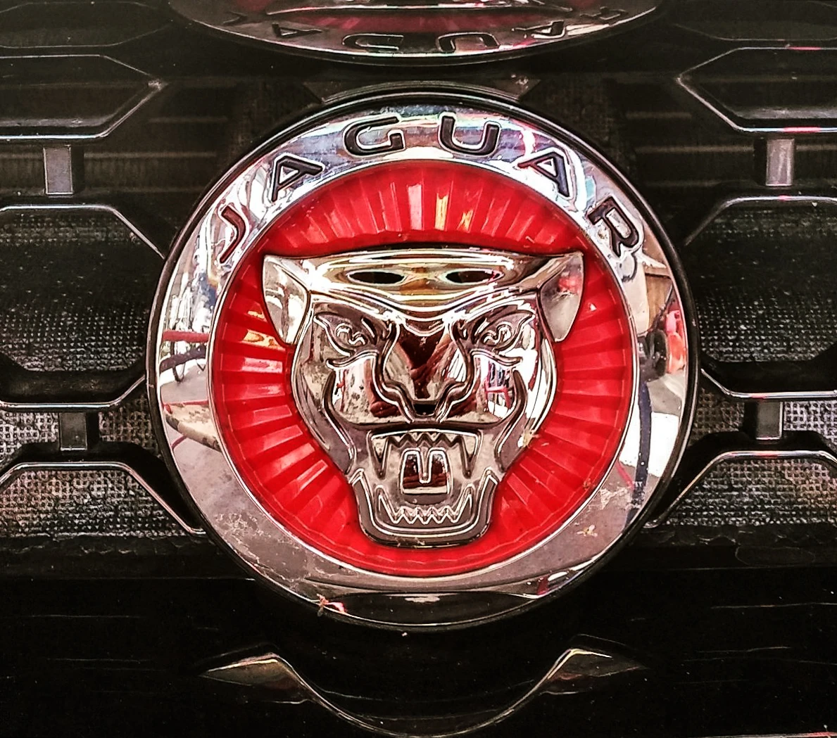 Jaguar emblem