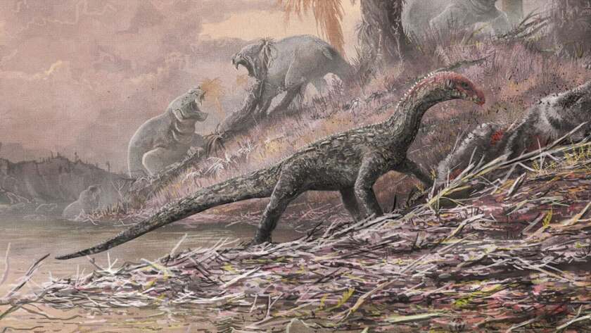 Reconstruction of Teleocrater rhadinus feasting on a deep relative of mammals, Cynognathus