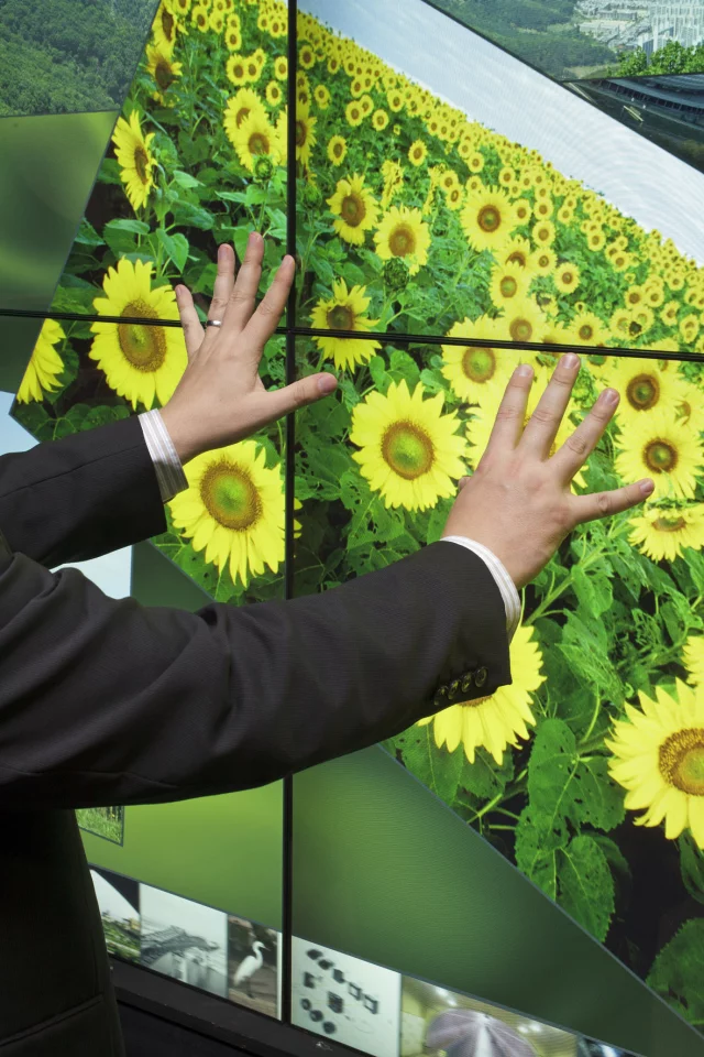 The bezel at the bottom and left of the new 55-inch unit is just 1.9 mm, and the right and top is 3.8 mm