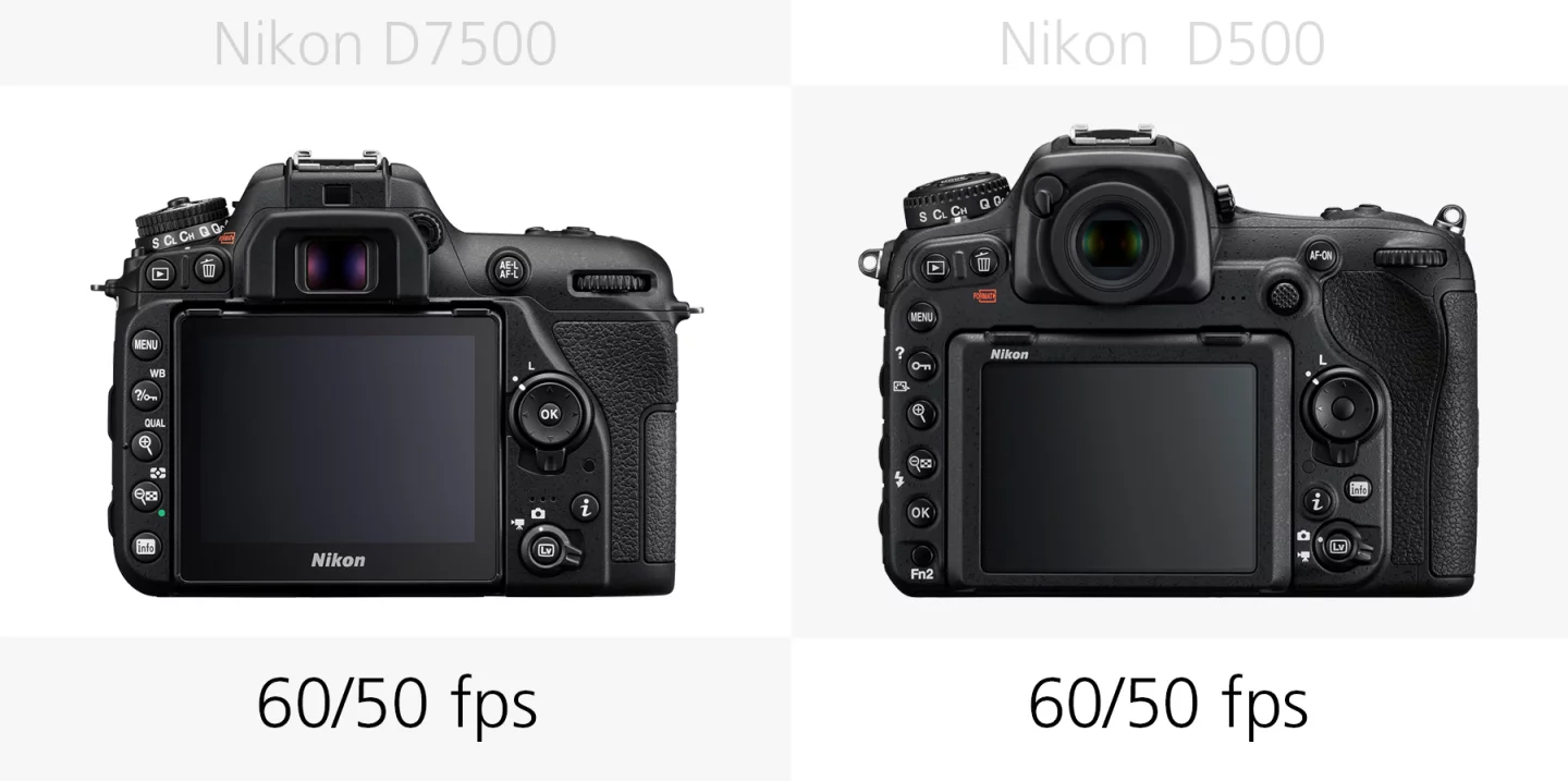 The Full HD frame rates of the Nikon D7500 and Nikon D500 compared