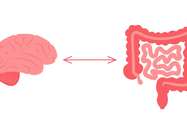 New studies offer the largest insights yet into the association between gut bacteria and depression