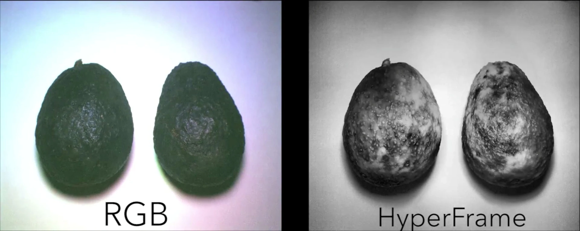 Avocados shot by a regular RGB camera (left) and by the HyperCam, showing their level of ripeness