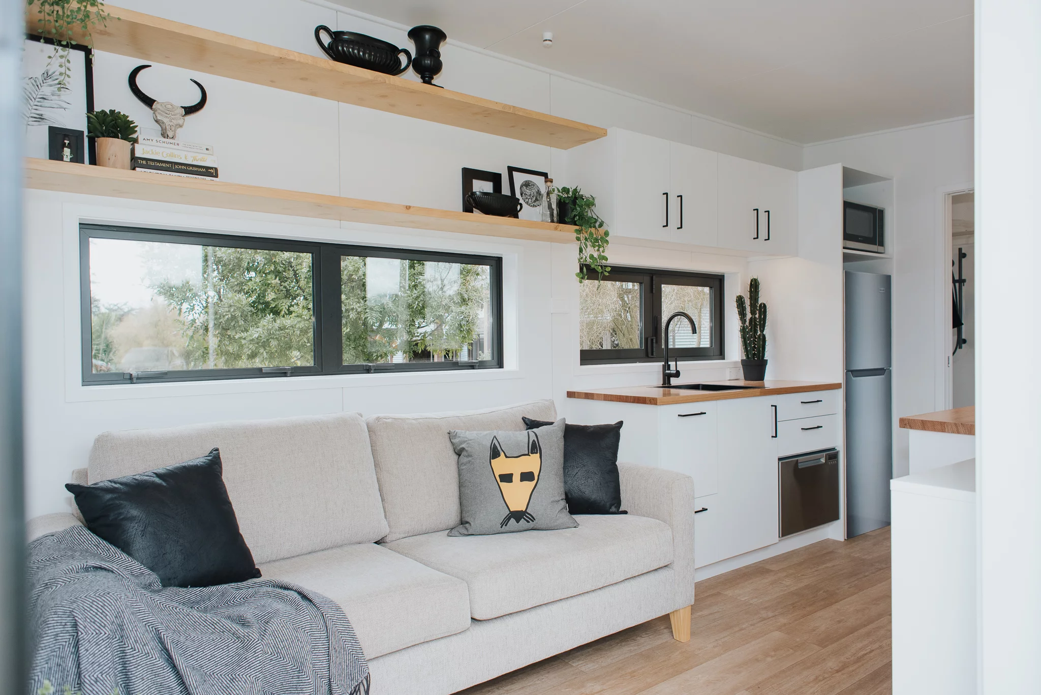 The Dark Horse's living room includes a sofa, TV, some storage space, and shelving