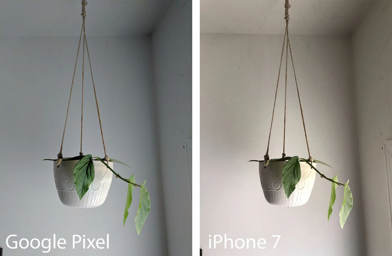 Photo comparison, indoor natural light